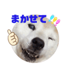 みんなと一緒 25（個別スタンプ：16）