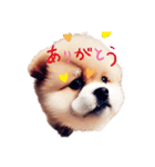 可愛い犬cute dog（個別スタンプ：15）