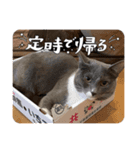 グレーテル＆プーリー スタンプNo.12（個別スタンプ：3）