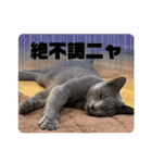グレーテル＆プーリー スタンプNo.12（個別スタンプ：5）
