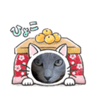 グレーテル＆プーリー スタンプNo.12（個別スタンプ：7）