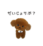 かわいい子犬のキングとボス（個別スタンプ：2）