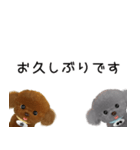 かわいい子犬のキングとボス（個別スタンプ：26）