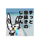 受験生のみんな（個別スタンプ：14）