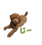 MOZ①（個別スタンプ：1）