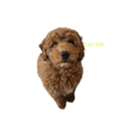 MOZ①（個別スタンプ：2）