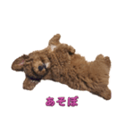 MOZ①（個別スタンプ：5）