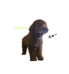MOZ①（個別スタンプ：7）