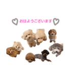 MOZ①（個別スタンプ：8）