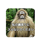 UMAですが、なにか？（個別スタンプ：18）