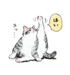 うちの子サバ白！！(にほんねこ)（個別スタンプ：3）