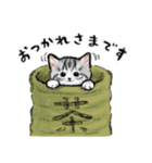 うちの子サバ白！！(にほんねこ)（個別スタンプ：16）