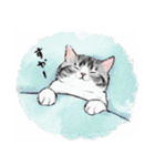 うちの子サバ白！！(にほんねこ)（個別スタンプ：38）