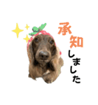 ククルとルーク3（個別スタンプ：5）