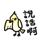 色付き生物の日常ステッカー（個別スタンプ：16）