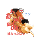 ニアちゃんと仲間たち（個別スタンプ：3）