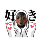 ニアちゃんと仲間たち（個別スタンプ：6）