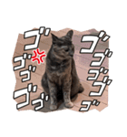 ニアちゃんと仲間たち（個別スタンプ：7）