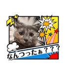 ニアちゃんと仲間たち（個別スタンプ：9）
