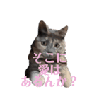 ニアちゃんと仲間たち（個別スタンプ：10）