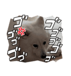 ニアちゃんと仲間たち（個別スタンプ：14）