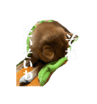 七尾弁の柴犬スタンプ（個別スタンプ：12）