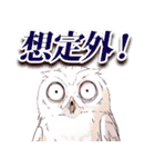 大人びた赤ちゃん動物とおしゃべりしよう（個別スタンプ：39）