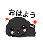 黒ぷぅスタンプ（個別スタンプ：13）