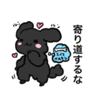 黒ぷぅスタンプ（個別スタンプ：17）