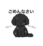 黒ぷぅスタンプ（個別スタンプ：23）