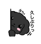 黒ぷぅスタンプ（個別スタンプ：26）