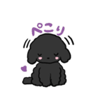 黒ぷぅスタンプ（個別スタンプ：36）
