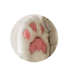 川島家の猫たち（個別スタンプ：22）