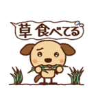 おもしろかわいい茶色犬【修正版】（個別スタンプ：37）