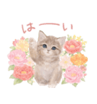 大人かわいい♡ねこと花のスタンプ 修正版（個別スタンプ：8）