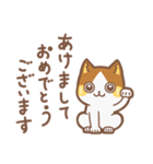 お祝いする猫（個別スタンプ：5）