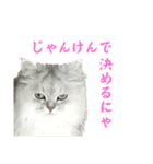 もちざねじゃんけん（個別スタンプ：1）