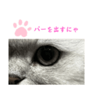 もちざねじゃんけん（個別スタンプ：4）