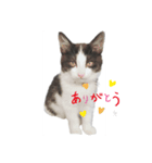 RIRI＆RON⑨（個別スタンプ：1）