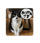 こなこなスタンプ2（個別スタンプ：8）