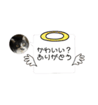 こなこなスタンプ2（個別スタンプ：14）