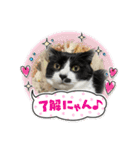 こなこなスタンプ2（個別スタンプ：17）
