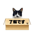 こなこなスタンプ2（個別スタンプ：18）