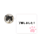 こなこなスタンプ2（個別スタンプ：19）