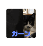 こなこなスタンプ2（個別スタンプ：21）
