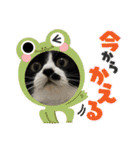 こなこなスタンプ2（個別スタンプ：24）
