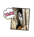 こなこなスタンプ2（個別スタンプ：27）