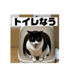 こなこなスタンプ2（個別スタンプ：30）