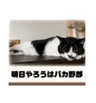 こなこなスタンプ2（個別スタンプ：31）