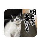 こなこなスタンプ2（個別スタンプ：37）